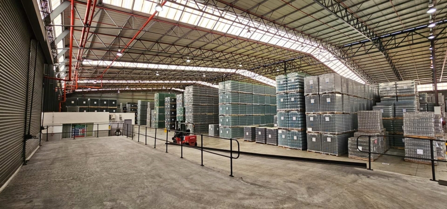 To Let commercial Property for Rent in Parow Industrial Western Cape